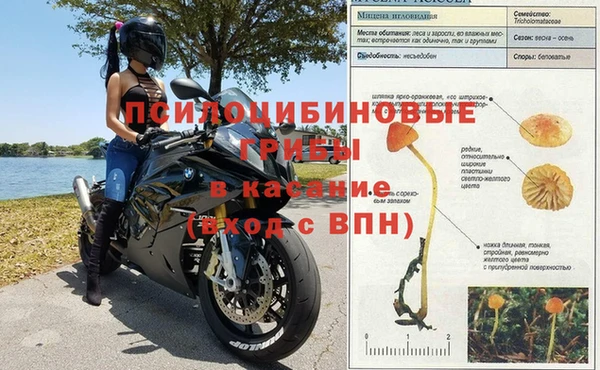 мет Алзамай