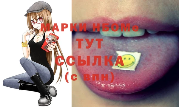 гашик Алексин